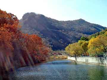 新澳天天开奖资料大全旅游团，塞纳论坛